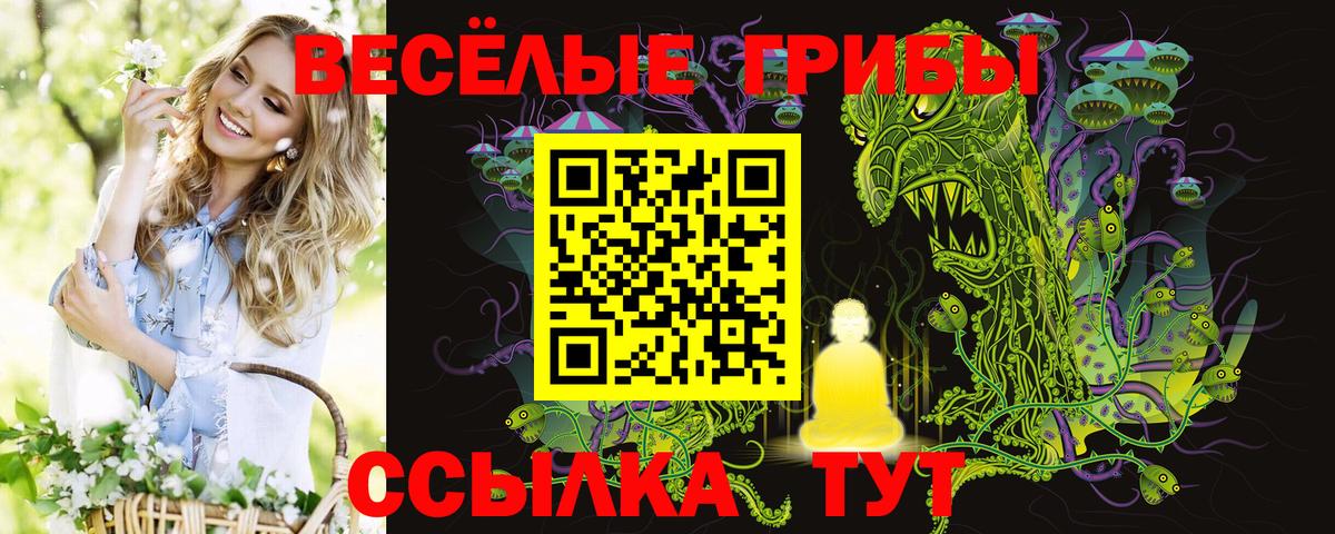 Балахна  продажа наркотиков  Вход с VPN  Галлюциногенные грибы мухоморы 